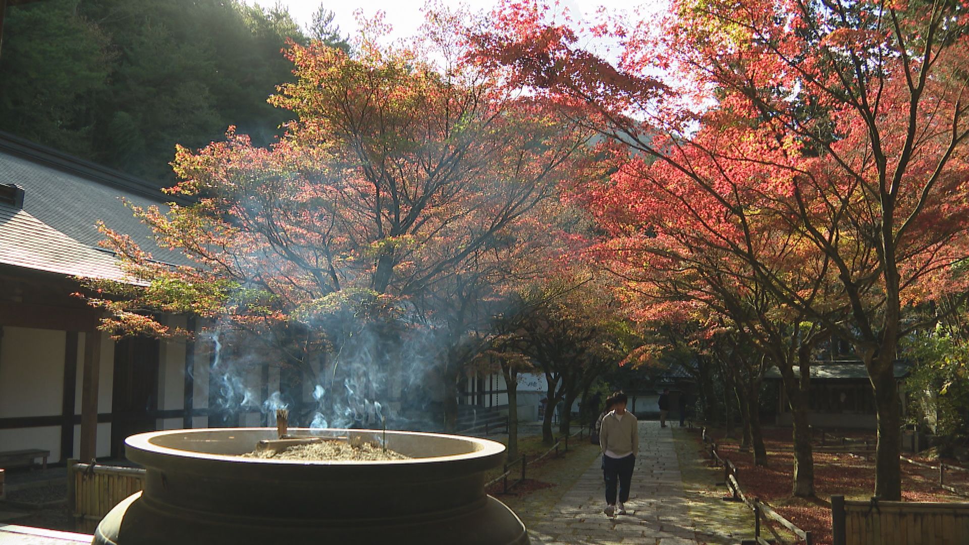 北部九州の紅葉の見頃はいつ？ 名所の色づき状況マップ - RKB毎日放送